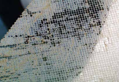 哪些操作參數的改變表示陶氏RO膜已被微生物污染？